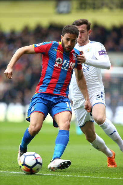 向備受關注 向備受關注